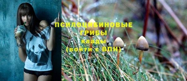 метадон Горняк