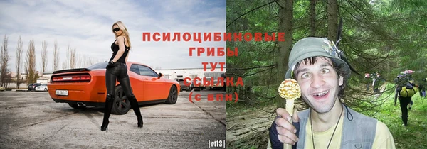 метадон Горняк